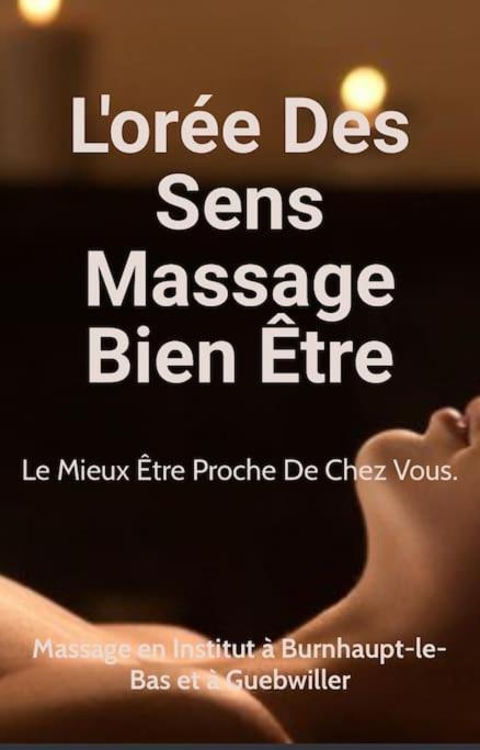 Gite Cosy Pour 2 A 4 Personnes, Village Proche Mulhouse Burnhaupt-le-Bas Esterno foto
