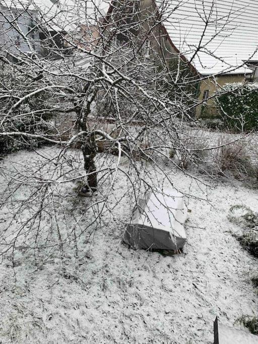 Gite Cosy Pour 2 A 4 Personnes, Village Proche Mulhouse Burnhaupt-le-Bas Esterno foto