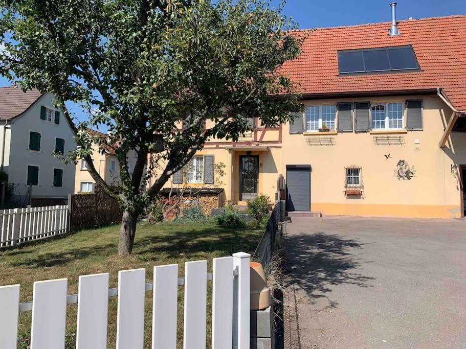 Gite Cosy Pour 2 A 4 Personnes, Village Proche Mulhouse Burnhaupt-le-Bas Esterno foto